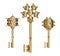 Vector Set Collection of Antique Golden Keys.