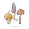 Vector set of colored forest mushrooms. Hand draws. Inscription. Assortment of mushrooms, white mushroom, honey mushrooms,