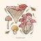 Vector set of colored forest mushrooms. Hand draws. Inscription. Assortment of mushrooms, white mushroom, honey mushrooms,