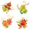 Vector set of colorful autumn leafs