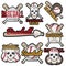 Vector set of colorful baseball club labels. Sport templates badges, emblems, logos with balls, bats, skulls. Isolated