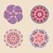 Vector set of colorful mandalas. Ethnic indian kalamkari round ornaments. Collection of floral paisley decorative patterns