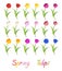 Vector set of colorful tulip