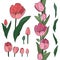 Vector set of colorful tulip elements. Decorative endless border