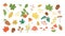 Vector set of cute autumn herbs, plants, flowers, berries. Flat style collection with leaves, apple, acorns, cones. Funny fall