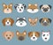 Vector set with cute cartoon dog puppies