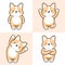 Vector set of cute corgi dog characters