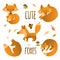 Vector set of cute foxes, autumn leaves and mushrooms. Hand draw fox for children\'s books.