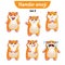 Vector set of cute hamster characters. Set 3