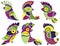 Vector set of cute parrots. For card, calendar, sticker, baby clothes