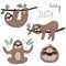 Vector set of cute sloths. funny vector illustrations. vector print