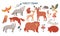 Vector set of cute woodland animals for baby shower and kids design. Collection of forest animals - bear, fox, wolf, rabbit and