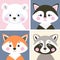 Vector set of cute woodland and pet animals. Funny polar bear, kitten, fox and raccoon in flat style.