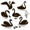 Vector set of decorative birds. Swan with nestling. Swan silhouette