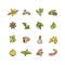 Vector set design templates icon and emblems - herbs and spices. Different spices signs. Illustrations in trendy linear