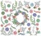 Vector Set of Detailed Succulent Plants and Wreath