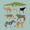 Vector Set Of Different African Animals. Animals of the African savanna Dromedary camel, crocodile, leopard, Okapi
