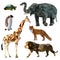 Vector set of different animals, polygonal icons, low poly illustration, fox, lion, elephant, giraffe, turtle, penguin