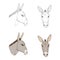 Vector Set of Donkey Head Illustrations