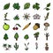 Vector Set of Doodle Plants Icons