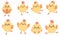 Vector set for easter celebration. Cute little chickens. Vector baby illustration. Chicks on a white background