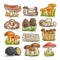 Vector set of eatable Mushrooms