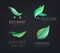 Vector set of eco logos, leaves, organic