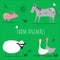 Vector set of farm animals on a green background. Horse, pig, sheep and geese.