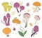 Vector set of flat funny mushrooms with berries, leaves and insects. Autumn clip art for childrenâ€™s design. Cute fungi