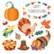 Vector set of flat thanksgiving symbols isolated