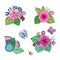 Vector set of floral arrangements in doodle style. Collection of patterns with natural elements