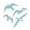 Vector set flying seagulls. Bird gull angler monochrome outline sketch illustration isolated on white background for