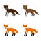 Vector set of four foxes in various colors