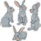 Vector set of four rabbits in different postures.