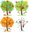 Vector Set of Four Seasons Trees with Birds