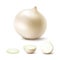 Vector Set of Fresh Whole and Sliced White Onion Bulbs