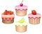 Vector Set of fruit muffins with multicolored icing. Vegan sweets - cakes with lemon, cherry, watermelon and strawberries. Summer