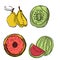 Vector set of fruit slices: watermelon,fruit, kiwi, pineapple, grapefruit, apple. Collection of summer food. Fresh fruits are