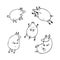 Vector set of funny cartoon pigs. Coloring page book