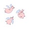 Vector set of funny flying cartoon pigs with wings. Pigs angels