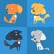 Vector Set of funny Mixed breed or mongrel dog