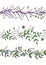 Vector  set of garden plant pattern brushes with stylized lavender, forget-me-not, basil, dandelion. Hand drawn cartoon style