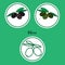 Vector set of green and black olive icons in flat style