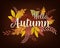 Vector set of greeting cards with autumn elements and lettering. Happy September, hello autumn, fall in love, enjoy - phrases set