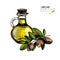 Vector set of hair care ingredients. Organic hand drawn colored elements. Argan nuts, bottle of oil.