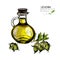 Vector set of hair care ingredients.Organic hand drawn colored elements.Jojoba branch, nut and oil bottle. s