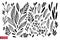 Vector set of hand drawing wild plants, herbs and berries, monochrome artistic botanical illustration, isolated floral