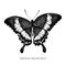 Vector set of hand drawn black and white emerald swallowtail