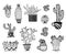 Vector set of hand drawn cactus. Sketch illustration. Different cactuses monochrome style.