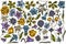 Vector set of hand drawn colored bellflower, edelweiss, globethistle, globeflower, meadow geranium, gentiana